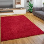 photo tapis rouge